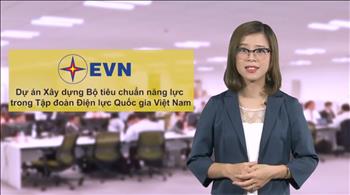 Video giới thiệu xây dựng bộ tiêu chuẩn năng lực trong Tập đoàn Điện lực Quốc gia Việt Nam