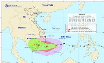 EVN ra công điện thượng khẩn ứng phó với bão số 9